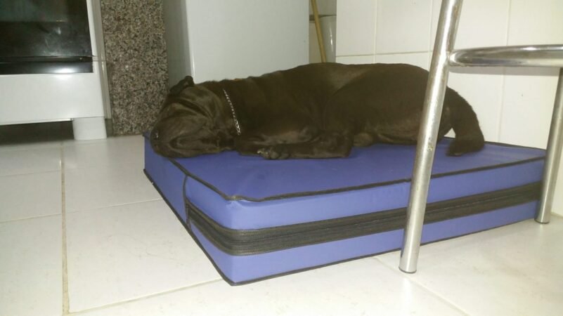 Colchão Para Cães Impermeável 1.00x70x10 - Imagem 11