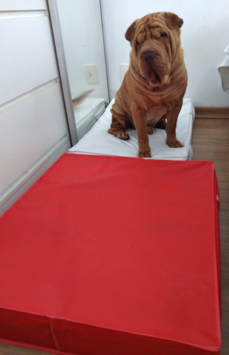 Colchão Para Cães Impermeável 1.00x70x10 - Imagem 14
