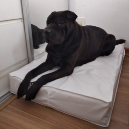 Colchão Para Cães Impermeável 50x60x10