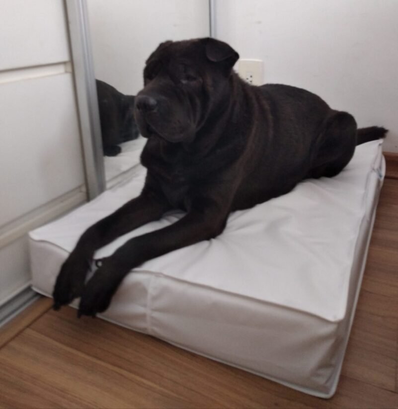 Colchão Para Cães Impermeável 1.00x70x10 - Imagem 15