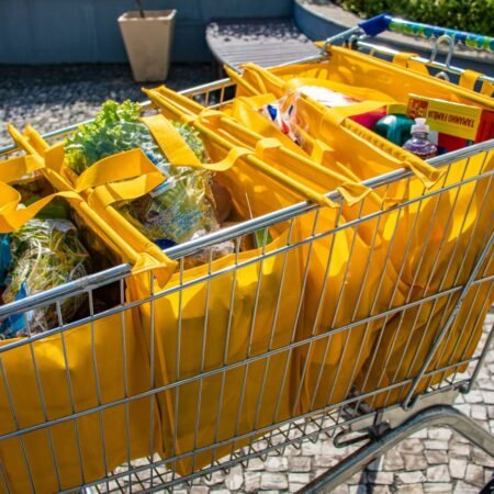 Kit de Bolsas Para Compras