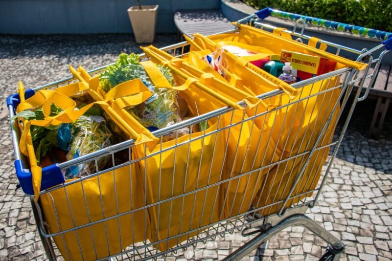 Kit de Bolsas Para Compras