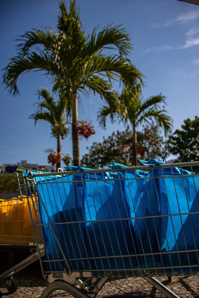 Kit de Bolsas Para Compras - Imagem 14