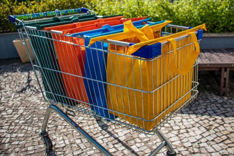 Kit de Bolsas Para Compras - Imagem 5