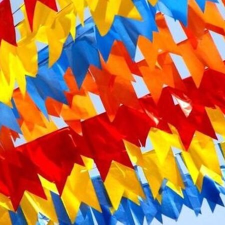 Bandeirinha Festa Junina TNT Reutilizável 10 Metros