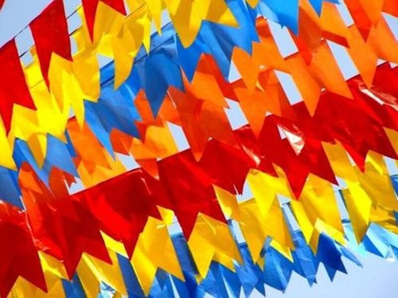 Bandeirinha Festa Junina TNT Reutilizável 10 Metros